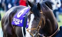 史上7組目の父仔有馬制覇へ 11回目のGIとなる実力馬が参戦