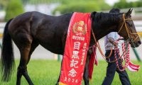 有馬記念史上初のセン馬Vなるか 重賞2勝馬ら2頭がエントリー