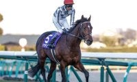 【有馬記念予想オッズ】ドウデュースが予想1番人気