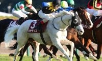 重賞3勝ベテランが有馬記念の歴史変えるか 史上最年長制覇に挑戦
