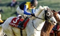 【有馬記念枠順】ハヤヤッコは8枠15番に決定 国枝師「ピンクでも大丈夫でしょう」