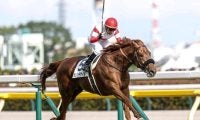 2位が有馬記念の“狙い目” 近10年のファン投票上位馬の成績を探ると