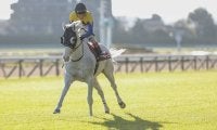 今年は3人にチャンス！ 史上初の有馬記念「騎手の兄弟制覇」