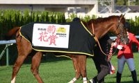 【有馬記念前日オッズ】アーバンシックが2.8倍で1番人気