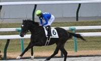 【京都4R新馬戦結果】アメリカンファラオ産駒タイセイドラードが大差勝ち