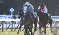3歳未勝利馬が2勝クラスを制す 格上挑戦で2馬身半差の快勝/京都12R・ジングルベル賞