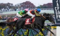 2歳中距離王者決定戦・ホープフルS/今週の競馬界の見どころ
