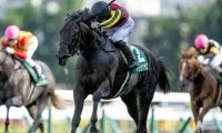 【ホープフルS見どころ】札幌2歳S覇者マジックサンズが3連勝でのGI奪取を狙う