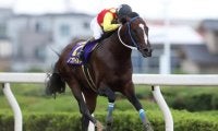TUBE・前田亘輝氏の愛馬ノブワイルドが死亡 浦和競馬場内に献花台設置