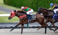 【先週のJRA抹消馬】芝・ダ双方で活躍のチェイスザドリーム、2.7億円馬ダノンザタイガーなど