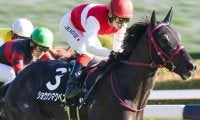 名馬イクイノックスのいとこ ホープフルSで厩舎・牧場にビッグタイトルをもたらすか