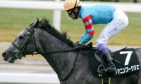 武豊騎手悲願のJRA・GI完全制覇へ 名門・錦岡牧場のキタサンブラック産駒とともにホープフルSに挑む