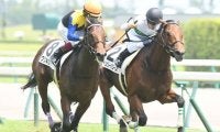 現役時代わずか1勝の良血種牡馬 ヘンリーバローズ産駒がホープフルSでGI初挑戦