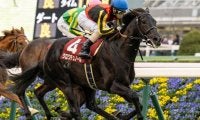 キタサンブラック産駒の24年JRA・GI初勝利なるか ホープフルSは豪華3頭出し