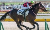 史上最高価格のJRA・GI勝ち馬へ 矢作厩舎の3.2億円馬がホープフルSで無敗戴冠狙う