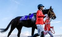 障害GI・2勝のニシノデイジーが登録抹消 今後は西山牧場で種牡馬に