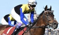 半兄はダービー馬 “金子血統”の期待馬が武豊騎手を背に初勝利狙う