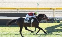 【競馬予想】ＧＩホープフルＳは200万馬券の再現か!?　穴党記者が高配当の使者に抜擢した伏兵２頭
