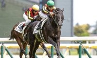 【AI予想・ホープフルS】2歳中距離王決定戦は関西馬が圧倒！ 前回以上のパフォーマンスに期待できそうな人工知能の本命とは