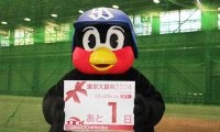 【東京大賞典】つば九郎さんは東京ヤクルトスワローズと同じく“ヤング”に注目「せだいこうたいのじき」