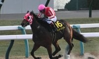 【JRA・WIN5】2024年最後のWIN5は的中166票、配当384万5200円