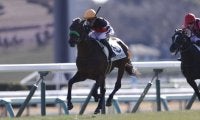 【新馬/中山5R】ブラックジェダイトが人気に応える…キタサンブラック産駒