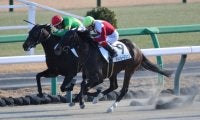 【新馬/中山6R】9番人気の伏兵ドルンレースツェンが低評価を覆す