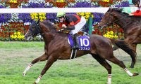 セリフォスが引退、種牡馬入り
