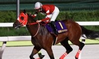 【大井・東京大賞典注目馬】ダート競馬の総決算 ウシュバテソーロやフォーエバーヤングらが覇を競う