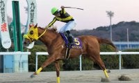 【佐賀・ゴールドスプリント】G1馬カジノフォンテンが佐賀で復活V
