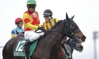 【フェアリーS】戸崎「センスのある馬」エリカエクスプレスがデビュー2連勝