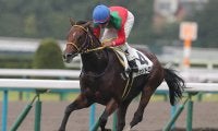 【競馬予想】シンザン記念は好配当狙いが吉！　過去の激走馬と類似する３頭の穴馬