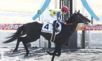 【中京4R新馬戦結果】ダノンレジェンド産駒ヨリノレジェンドが人気に応えてV