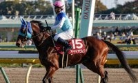 【先週のJRA抹消馬】5.8億円馬アドマイヤビルゴ、芝中距離で活躍のカレンルシェルブルなど