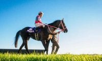 三冠馬コントレイル産駒が今夏いよいよデビュー 25年新種牡馬たちの評判は？