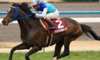 有馬記念3連単最高配当の立役者 初重賞制覇となった日経新春杯を回顧