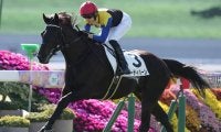 京成杯は社台ファーム生産馬が3連覇中 2.7億円ホースなど今年の出走馬は？