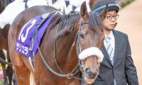 良血牝馬サリエラ 日経新春杯で悲願の重賞初制覇なるか