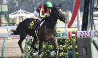 全馬重賞勝ち、6頭中4頭がGI馬 「サ行」の馬が紅梅ステークスを勝ったら要注目
