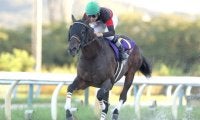 ダートグレード競走3勝のディクテオンが抹消 大井競馬に移籍へ