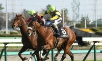 【競馬予想】日経新春杯、タフな持久力勝負が見込まれる一戦にあって不気味な「関東馬」