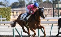 【中京5R新馬戦結果】ヌーヴォレコルトの娘セナスタイルがV ソットサス産駒のJRA初勝利