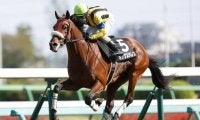 中京芝は持久力が必要 日経新春杯は長く脚を使える差し馬を狙おう