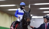 【日経新春杯】西村淳「楽しみな一頭です」ロードデルレイが重賞初制覇