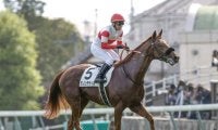 小倉競馬が開幕 AJCCなど3重賞/今週の競馬界の見どころ