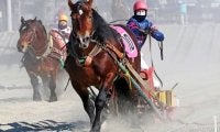 【ばんえい十勝】田上調教師が通算1500勝を達成
