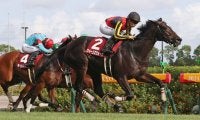 【小倉牝馬S登録馬】クイーンズウォークなど21頭