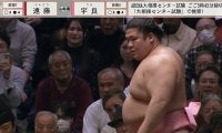 「やばっ、可愛すぎる」「ギャップがたまらん」人気力士を“珍手”で撃破の宇良 土俵下での“一コマ”にファンうっとり