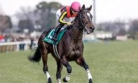 【小倉牝馬S見どころ】クイーンズウォークが前走の鬱憤を晴らす