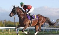 【先週のJRA抹消馬】ダートグレード3勝のディクテオン、ステイヤーズS覇者アイアンバローズなど